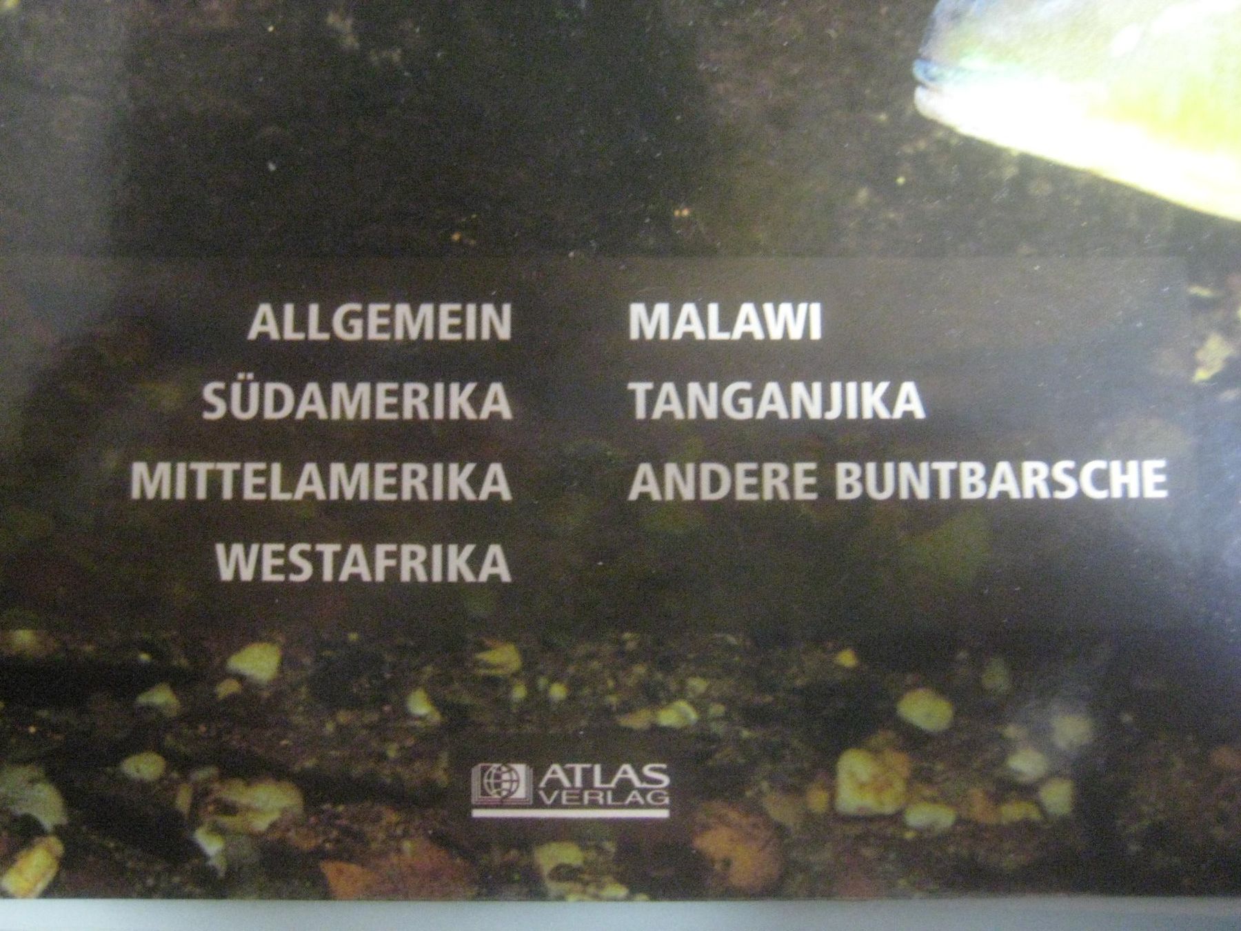 Libri: GROSSER SAMMEL  ORTNER  AQUARIUM – Nuovo (secondo la descrizione) da Uster venduto da flocke1 6