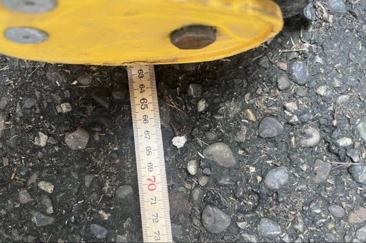 Soffiatori & Aspiratori per foglie: Yard-Man 55 Laubsauger/häcksler – Usato da Illnau venduto da Dimi001 4