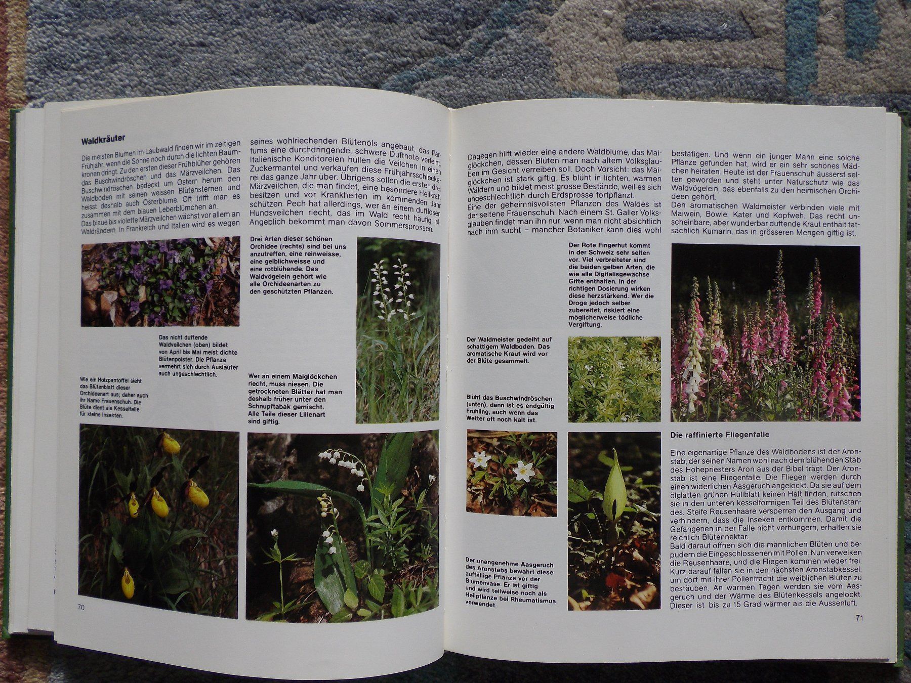 Libri: Wald - Das Silva Familienbuch – Usato da Uster venduto da urs_75by 5