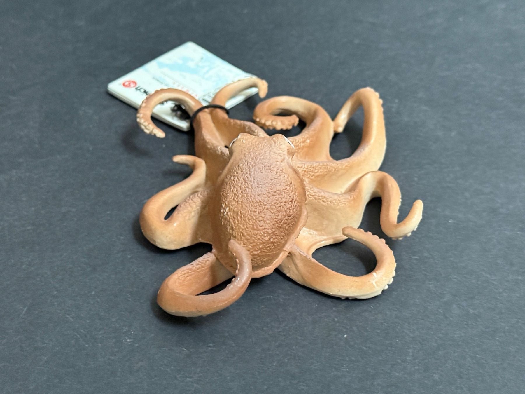 Schleich Statuette: Schleich Riesenkrake Krake 1:32 – Nuovo (secondo la descrizione) da Ennetbaden venduto da mapa05 4