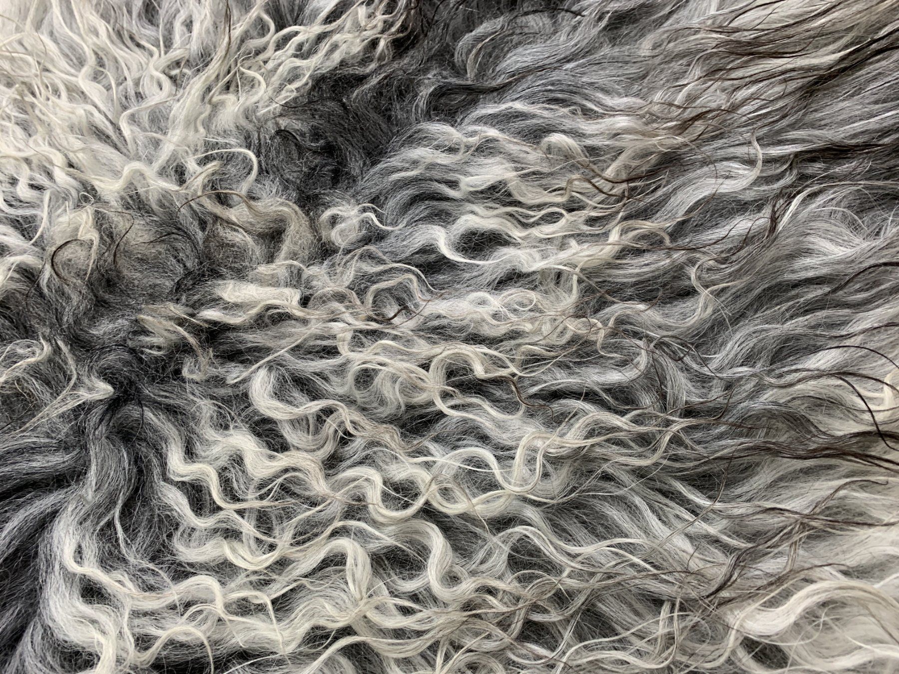 Tappeti: Island lammfell Teppich – Nuovo e nell'imballaggio originale da Arbedo venduto da patagonialeatherrugs 2