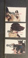 Niederlande 1998 Satz Haustiere Hund Katze Kanin. postfrisch