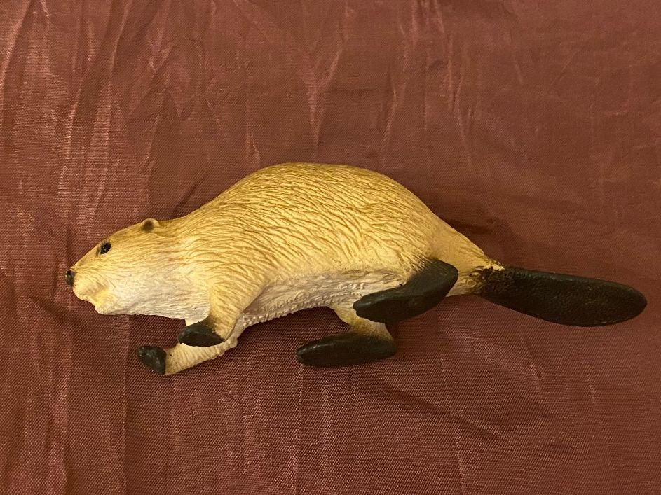 Schleich Statuette: Biber Schleich Tierfigur Tier NEU – Nuovo (secondo la descrizione) da Basel venduto da him_5r5n 4