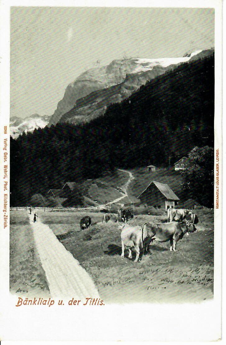 Ansichtskarten: Engelberg - Bänklialp – Gebraucht aus Hochdorf von Ziegel-16