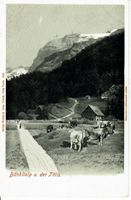 Engelberg - Bänklialp