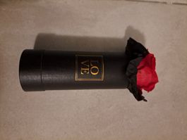 Rose lyophilisée