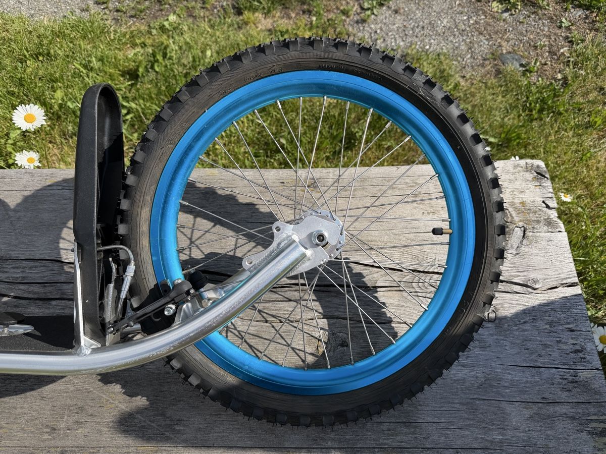 Skateboards: Dirt Surfer Rollerboard, guter Zustand – Usato da Davos Wolfgang venduto da nostyle 1