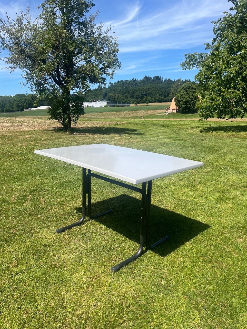 Tavoli: Gartentisch Klappbar – Usato da Allmendingen b. BE venduto da juair 6