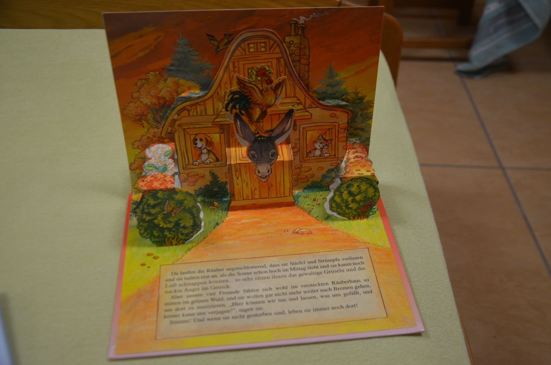 Libri: KINDERBUCH – Usato da Chiasso venduto da Dolly015 1