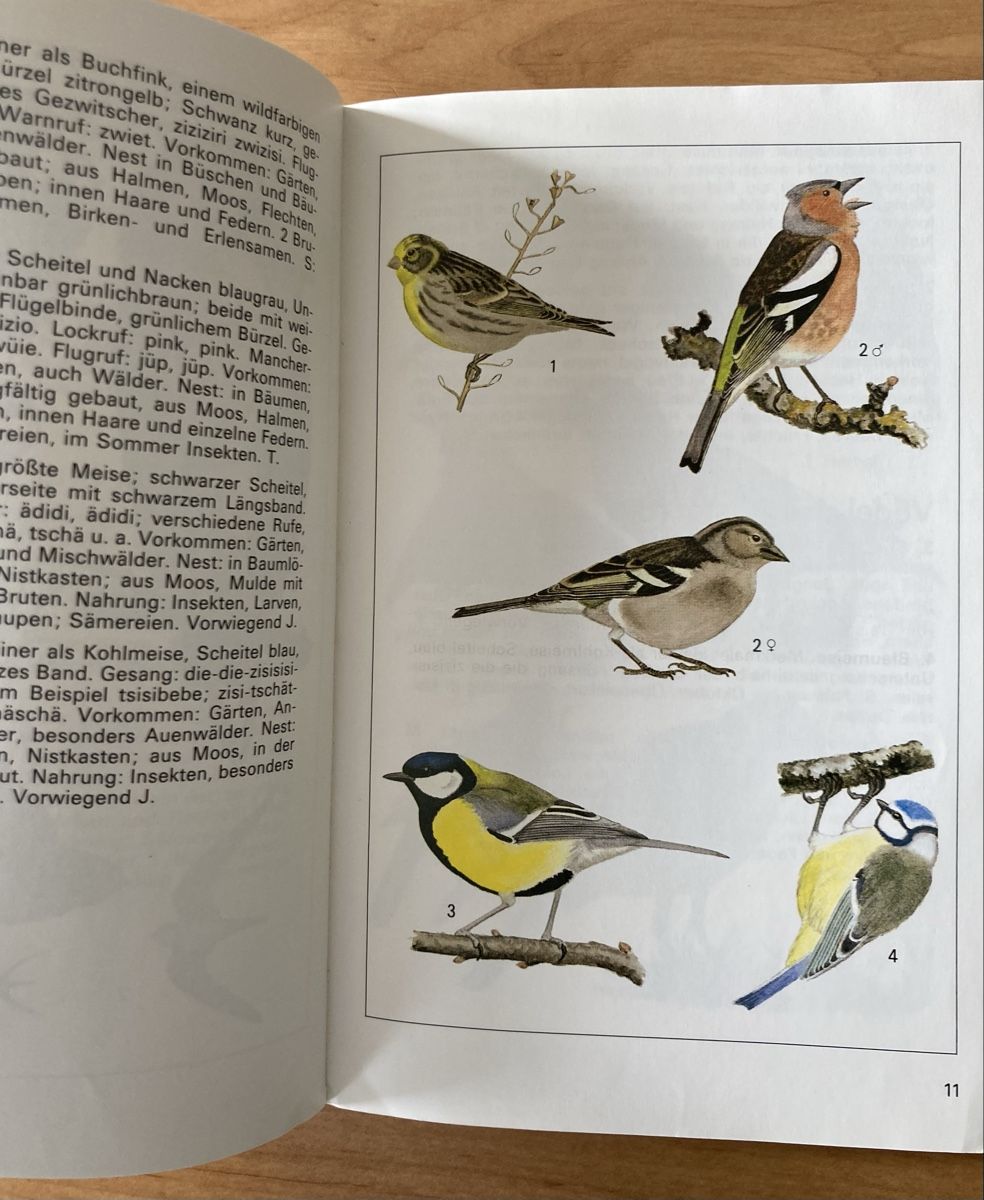 Libri: Einheimische Brutvögel - sehr Interessant – Usato da Schüpfheim venduto da Seerose80 3