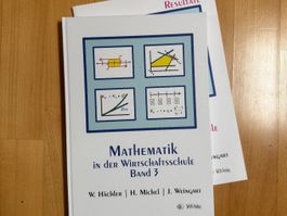 Mathematik in der Wirtschaftsschule - Band 3