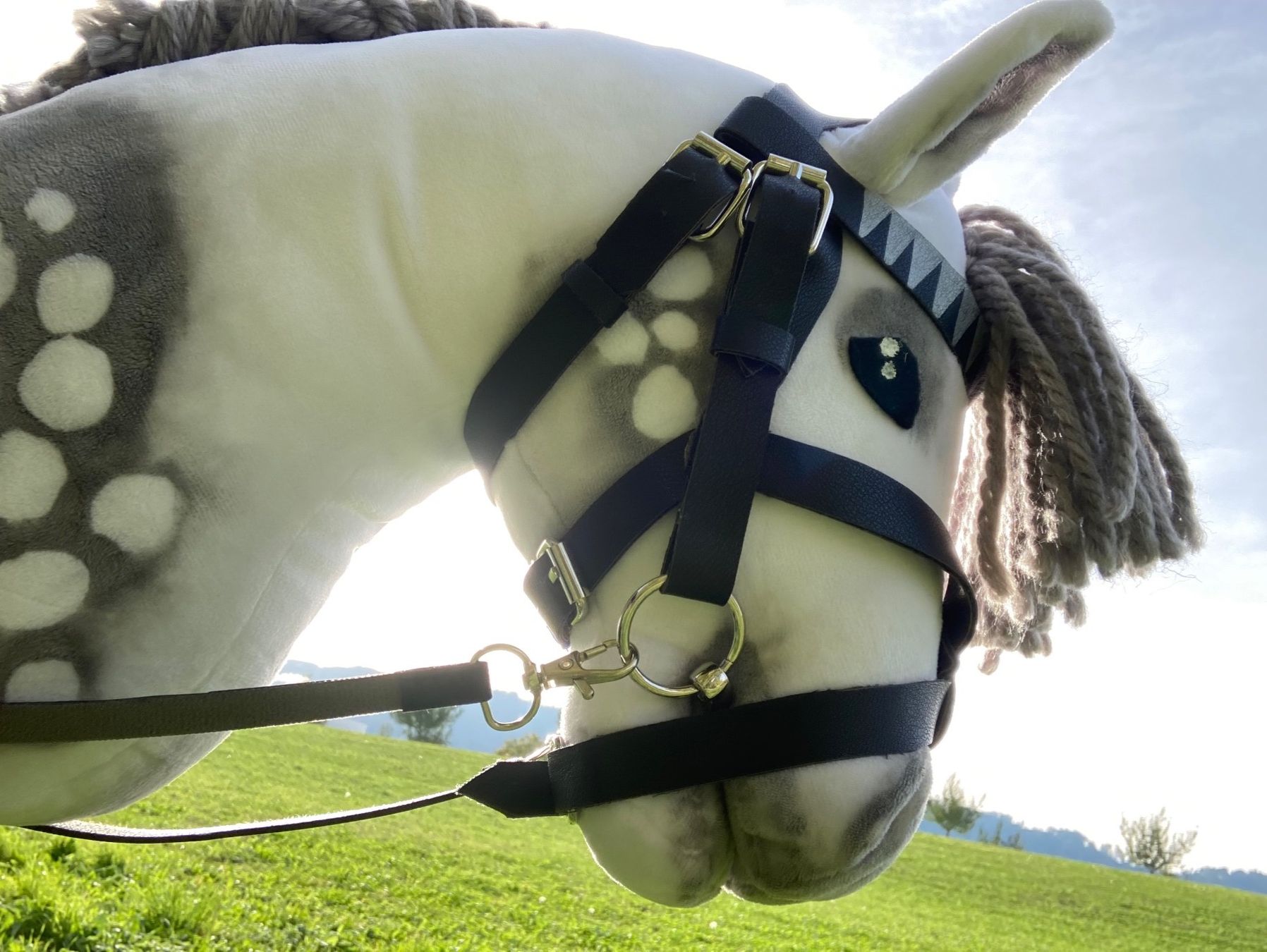 Spielzeuge: Hobby Horse Apfelschimmel – Gebraucht aus Kilchberg ZH von  2