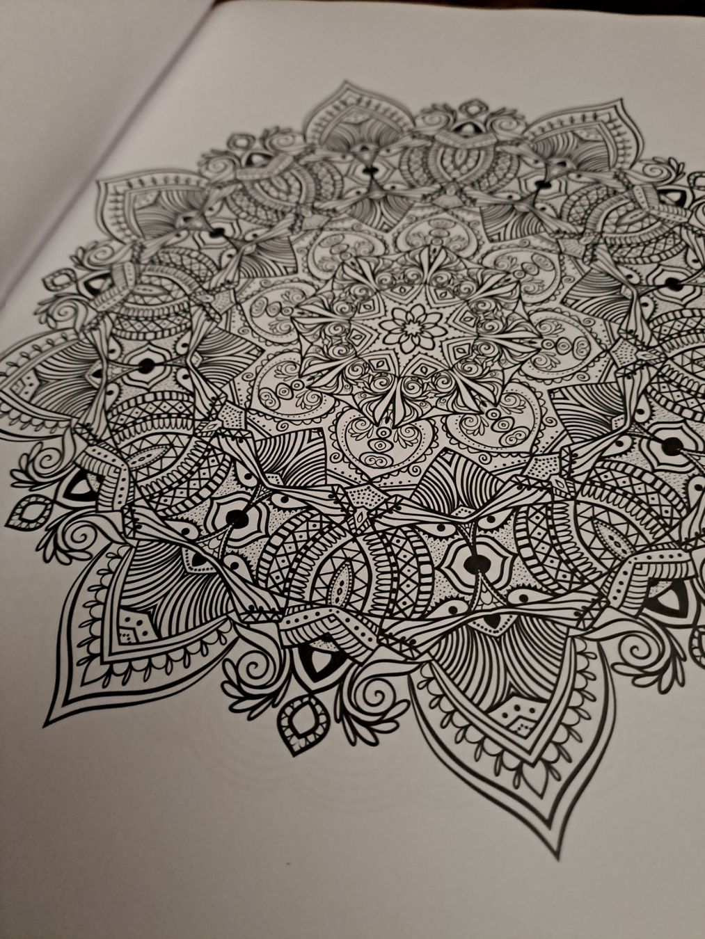 Libri: Malbuch Mandala – Usato da Emdthal venduto da kasira 1