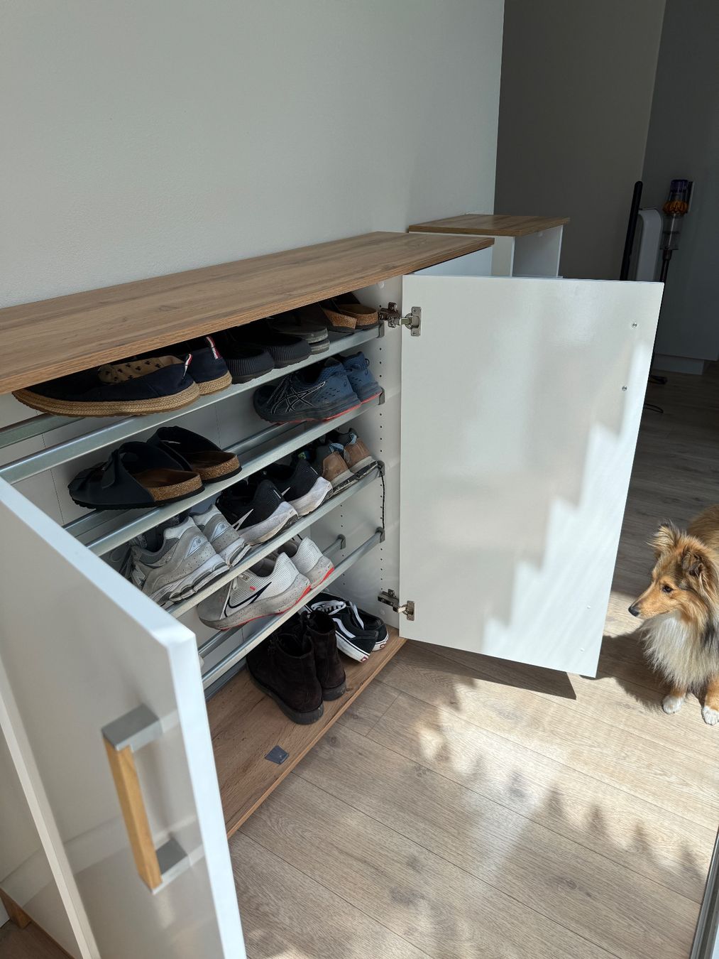 Armadi: Schildmeyer Padua Schuhschrank – Usato da Unterengstringen venduto da tob_7bhx 2