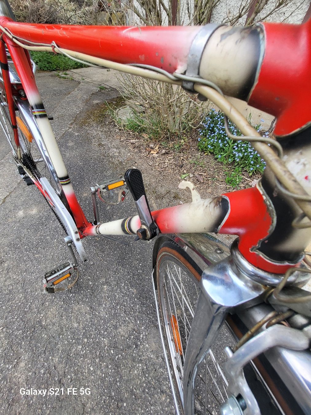 Biciclette: Antike schweizer Velo 5 Gang – Usato da Riehen venduto da tamola67 8