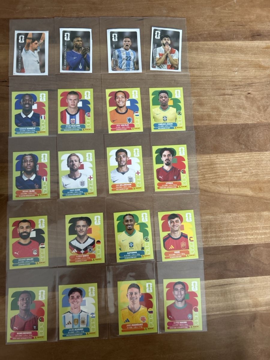Panini Carte collezionabili: 841 Panini WM 2026 Sticker – Nuovo (secondo la descrizione) da Grosshöchstetten venduto da ram_f7mg 2