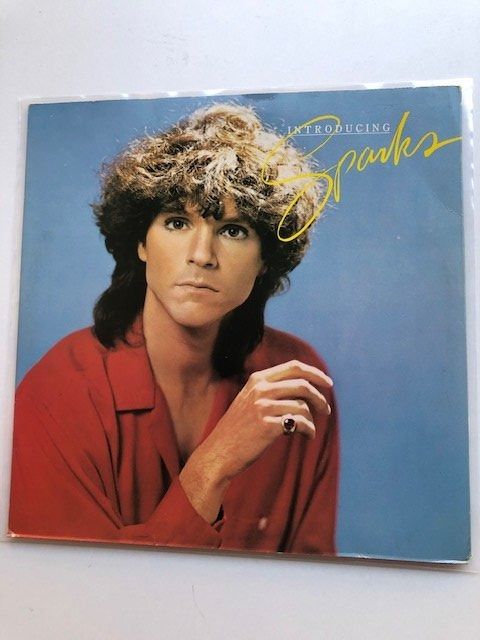 Dischi in vinile: Sparks – Usato da Aarwangen venduto da Jukebox3