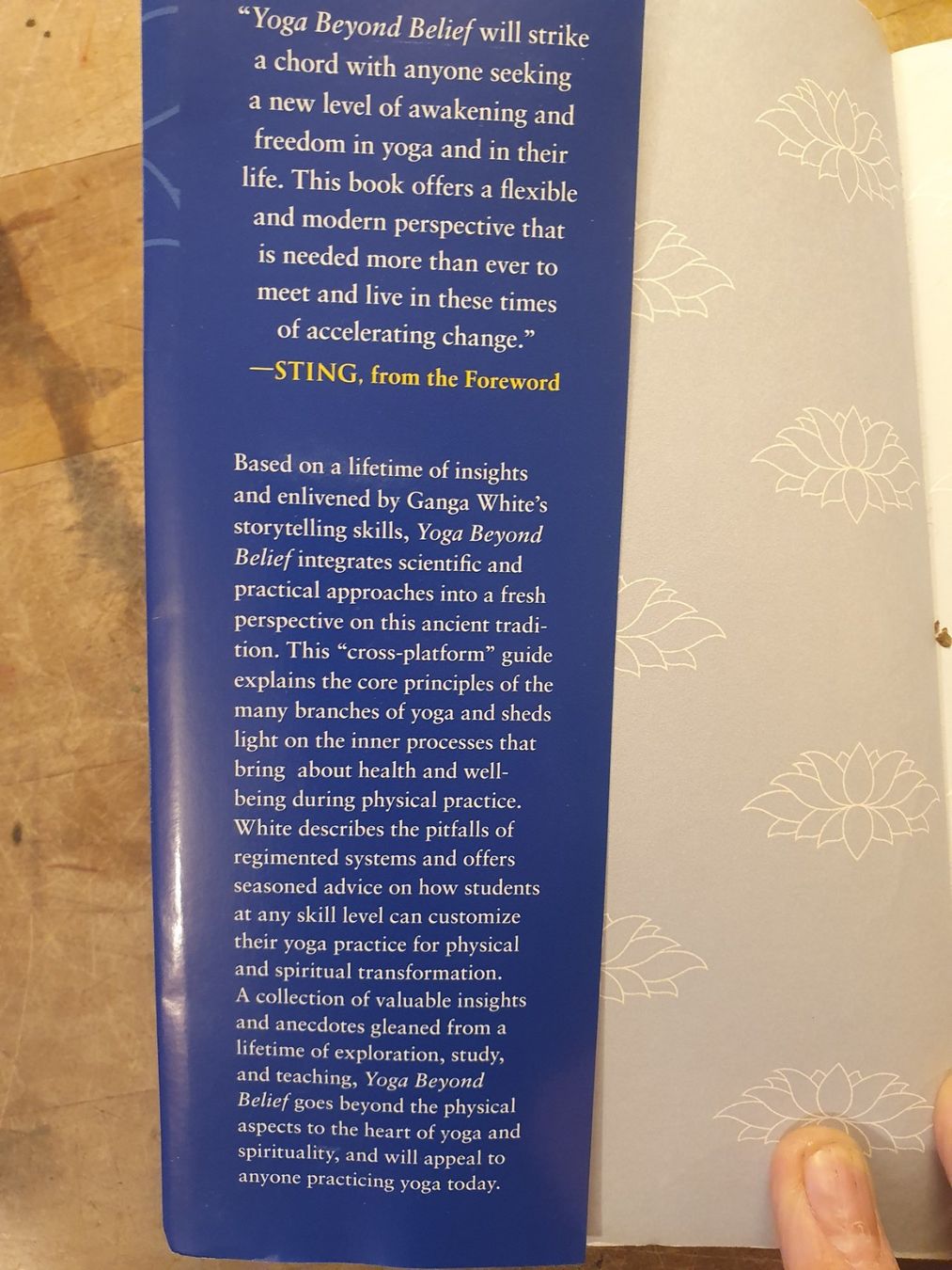 Libri: Yoga Beyond Belief - Ganga White – Usato da Zürich venduto da dialout 1