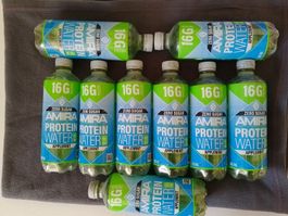 Amira Protein-Wasser