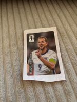 Panini