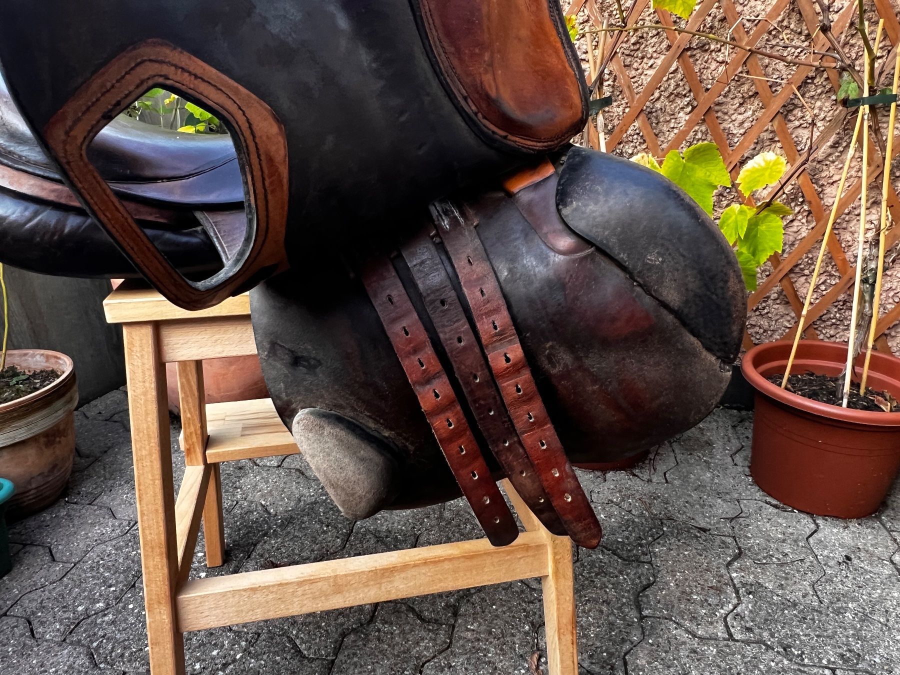 Selle & Accessori: Sattel – Usato da Oetwil am See venduto da Katami7 2