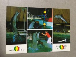 AK Zoo Duisburg Delphine mehrbildrig