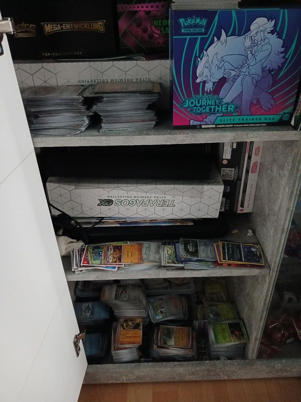 Pokémon Carte collezionabili: all pokemon cars  – Nuovo e nell'imballaggio originale da Erlinsbach SO venduto da die_9dbt 2