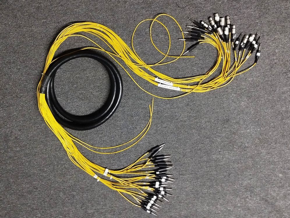 Multicore Snake 24 Kanal Kaufen auf Ricardo