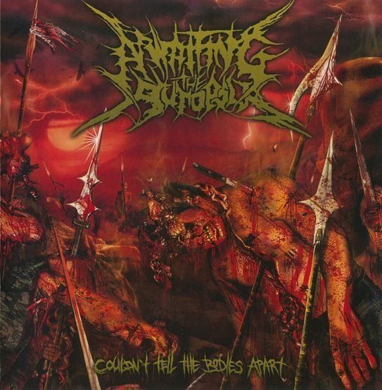 CD: Awaiting the Autopsy - Couldn't... – Usato da St-Cergue venduto da VeganWarrior