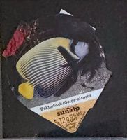 313 - Poissons
