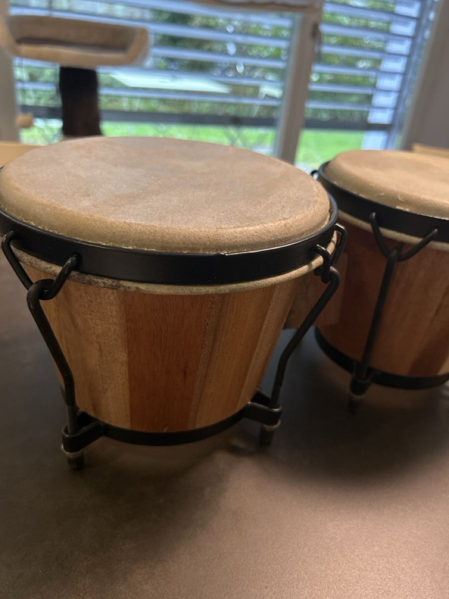Strumenti musicali: Bongo Trommeln  – Usato da Wettingen venduto da Trini16 1