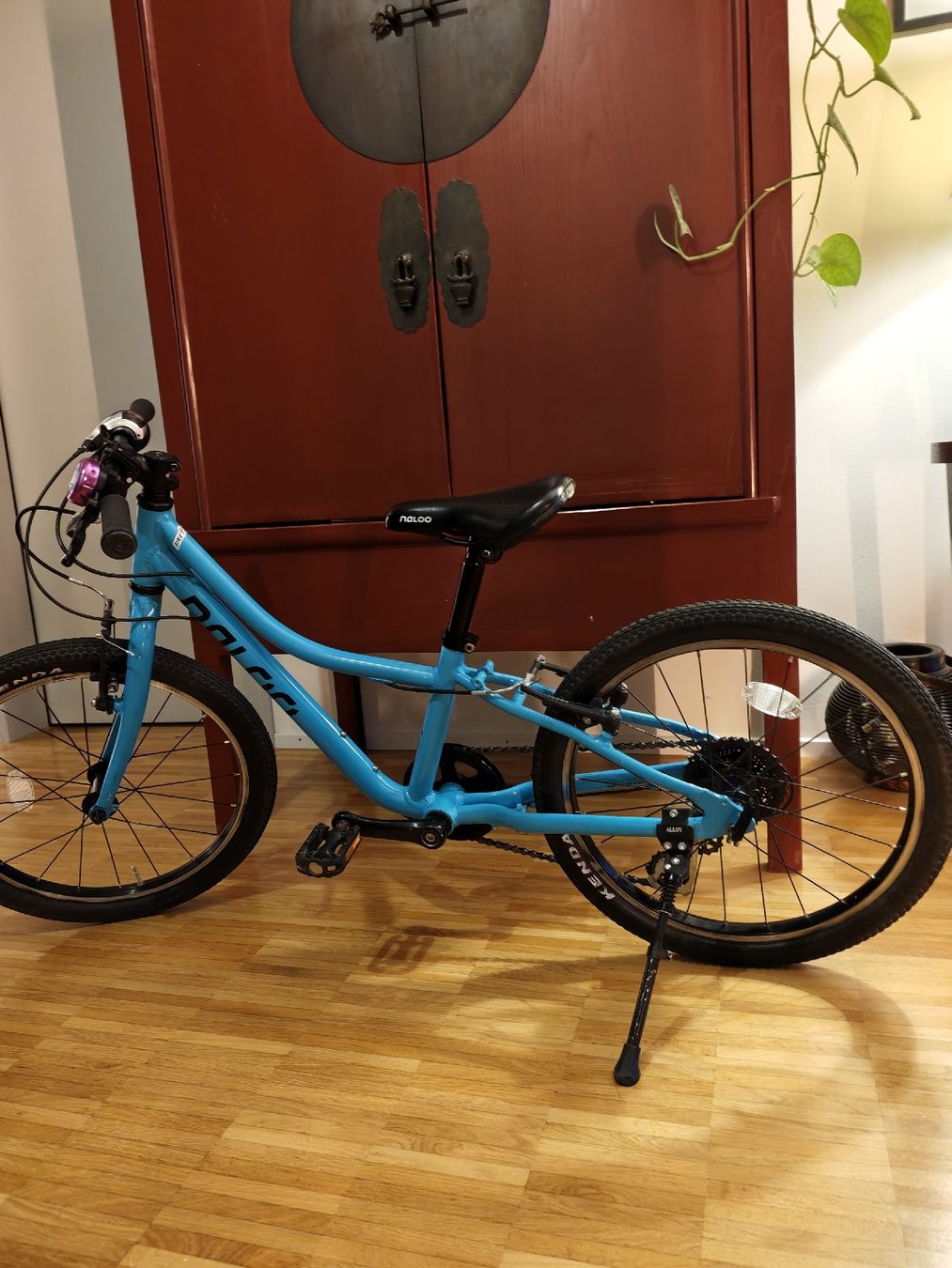 Naloo Velos: Naloo 20 Zoll  – Gebraucht aus Wallisellen von Chic_Living