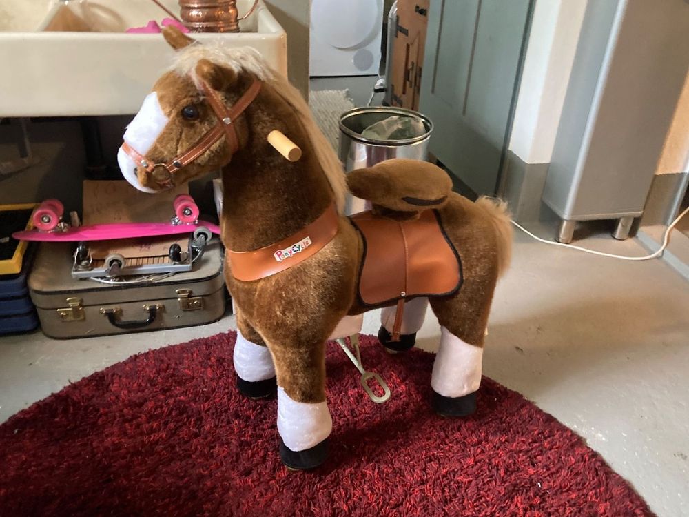 the pony cycle