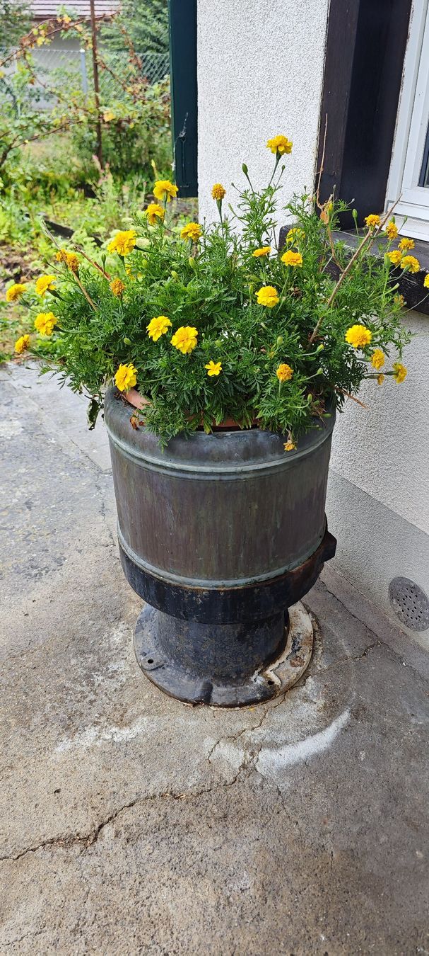 Vasi per fiori: Alter Metallbehälter "Moderna" als Pflanzgefäss – Usato da Adetswil venduto da Shaft82 1