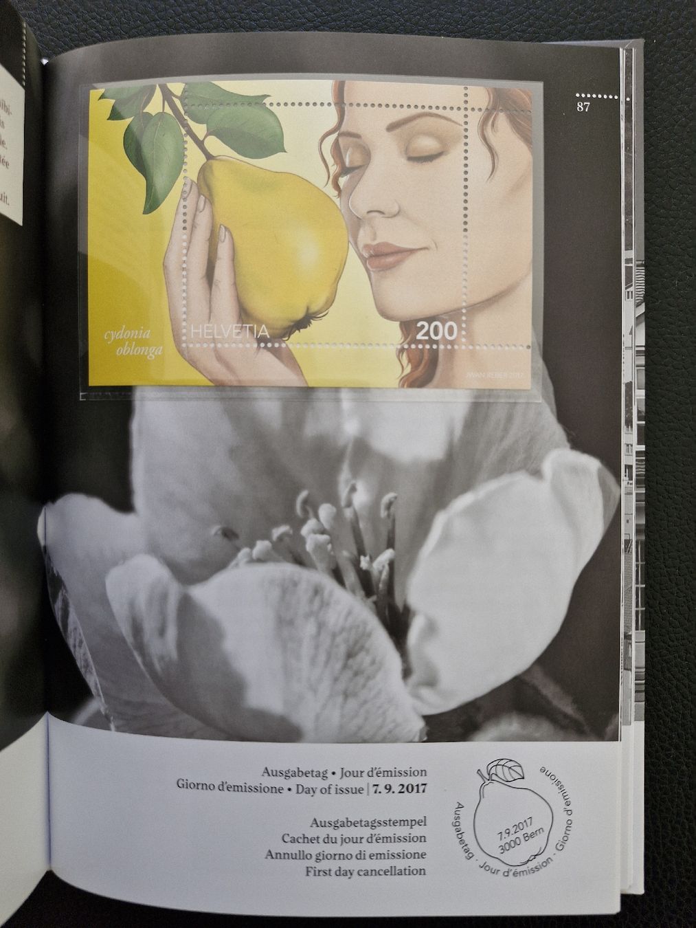 Tutti i francobolli: Jahrbuch 2017  Top Zustand! postfrisch – Nuovo (secondo la descrizione) da Frauenfeld venduto da Kasico 8