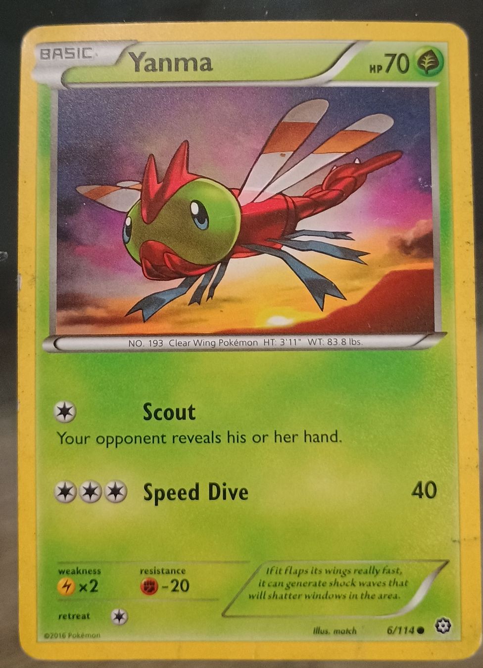 Pokémon Carte collezionabili: Yanma Pokemon Card - XY Evolutions 6/114 – Usato da Murten venduto da Palli23