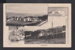 vom Gurten  BE   :   alte Ansichtskarte von 1920