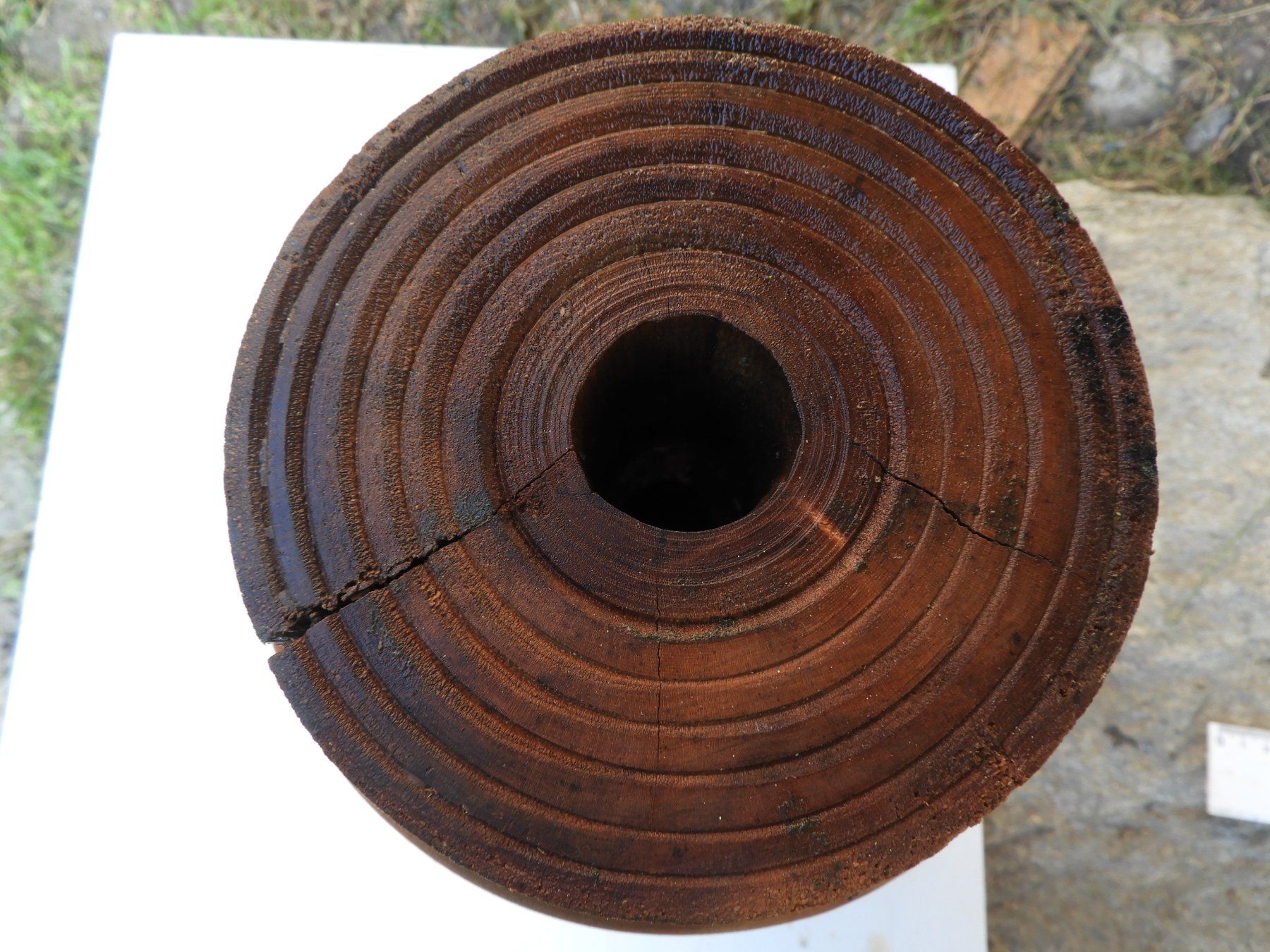Tutte le decorazioni: Holzrad – Usato da Pitasch venduto da Haui0 2