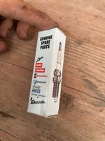 Zündkerze Champion RG6YCA 