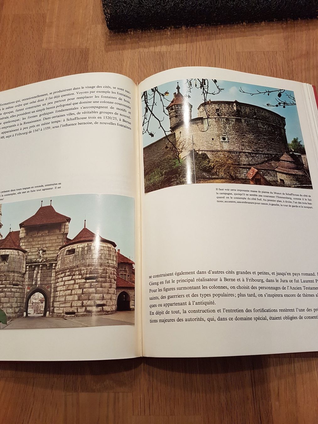 Libri: La maison suisse – Usato da Porrentruy venduto da Piquetix 1