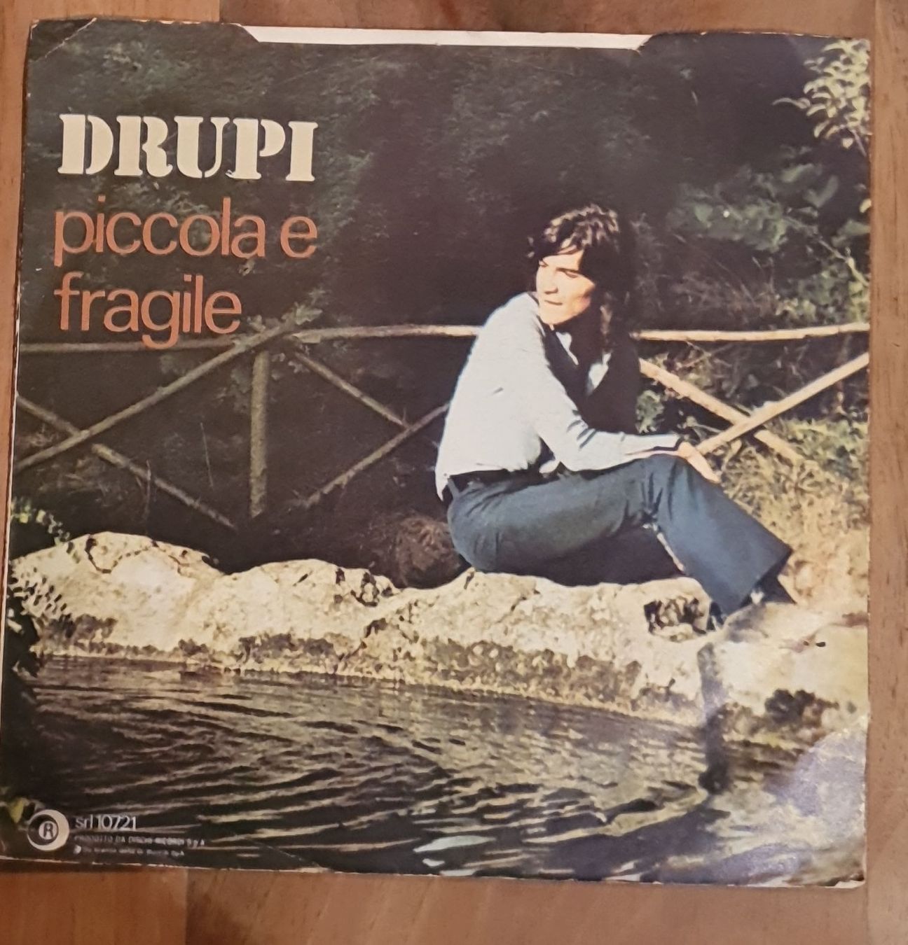 Dischi in vinile: DRUPI Piccola e Fragile Vinyl-Single guter Zustand – Usato da Sirnach venduto da dimitri1963