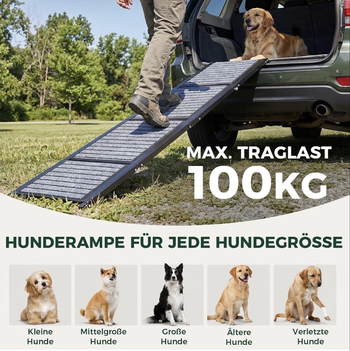 Käfige, Transport & Sicherheit: Extralange Hunderampe klappbar 170 cm – Gebraucht aus Engelburg von kirerelhom57 3