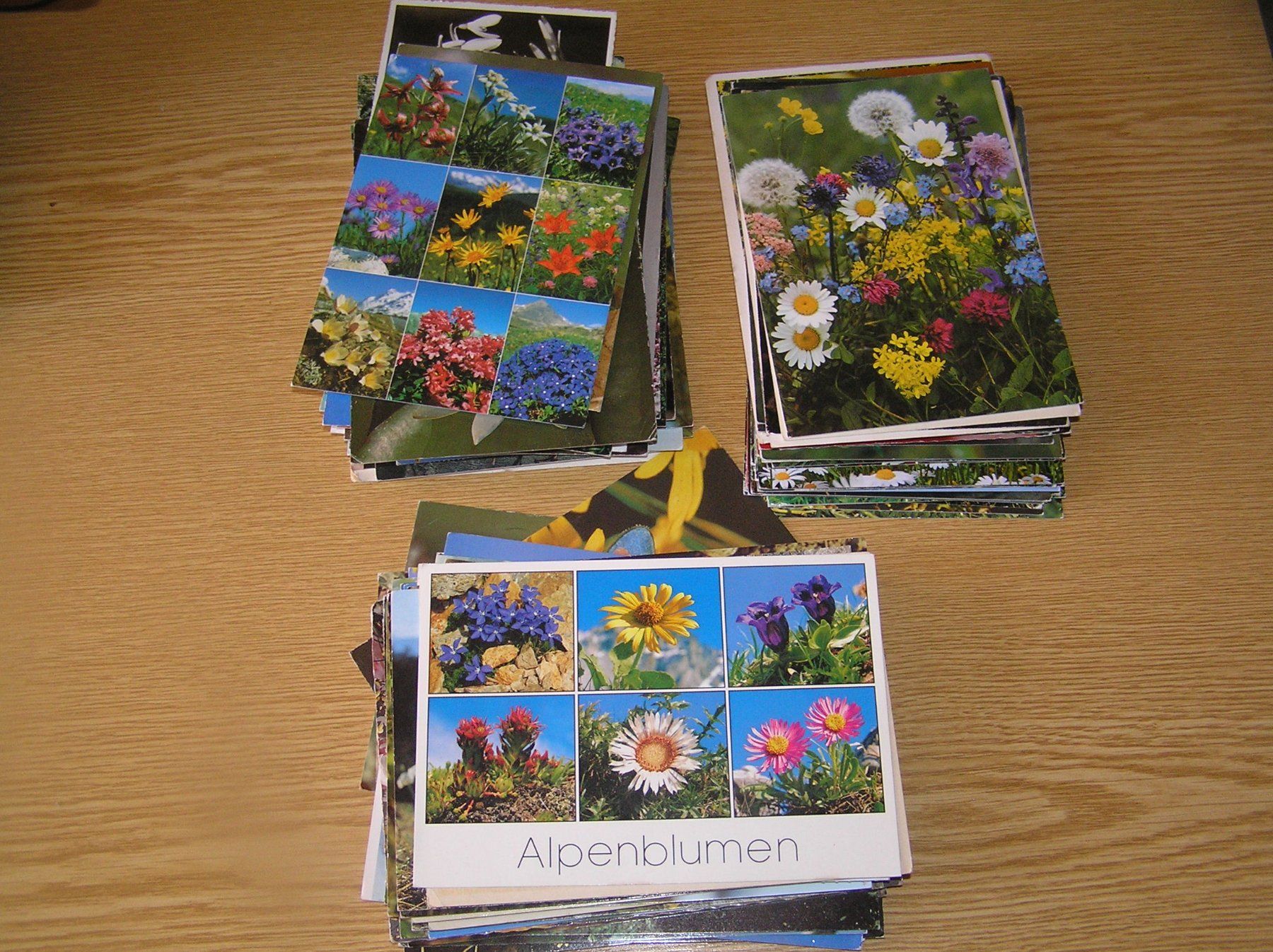 Cartoline postali: 160 Schöne Blumenkarten – Usato da Lumbrein venduto da made02