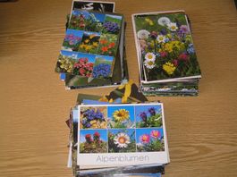 160 Schöne Blumenkarten