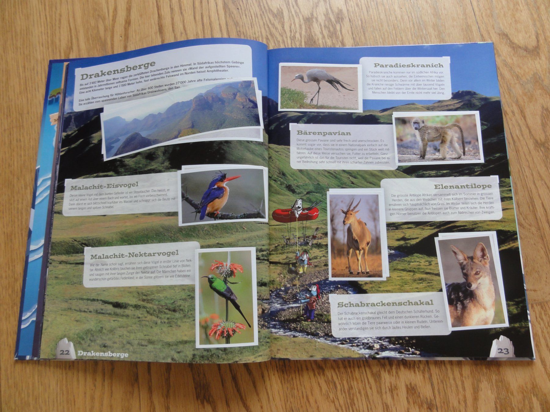 Libri: Mountain Mania – Usato da Riedholz venduto da Taweva 3