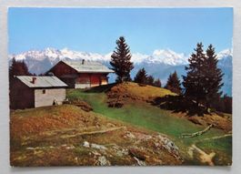 Les Plans-Mayens et les Alpes valaisannes