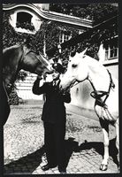 6 Fotografien H. Förster-Heintzel, Fran