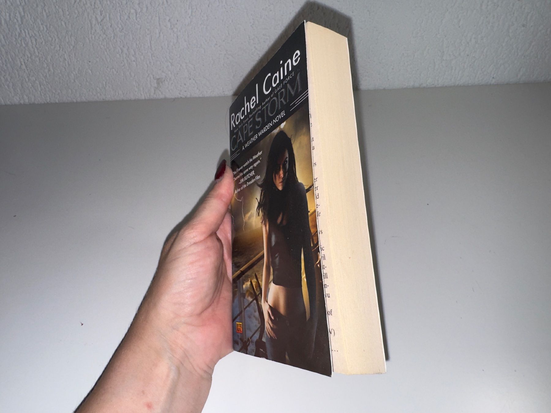 Libri: NOVEL: Racel Caine, Cape storm – Usato da Grosswangen venduto da English_books 1