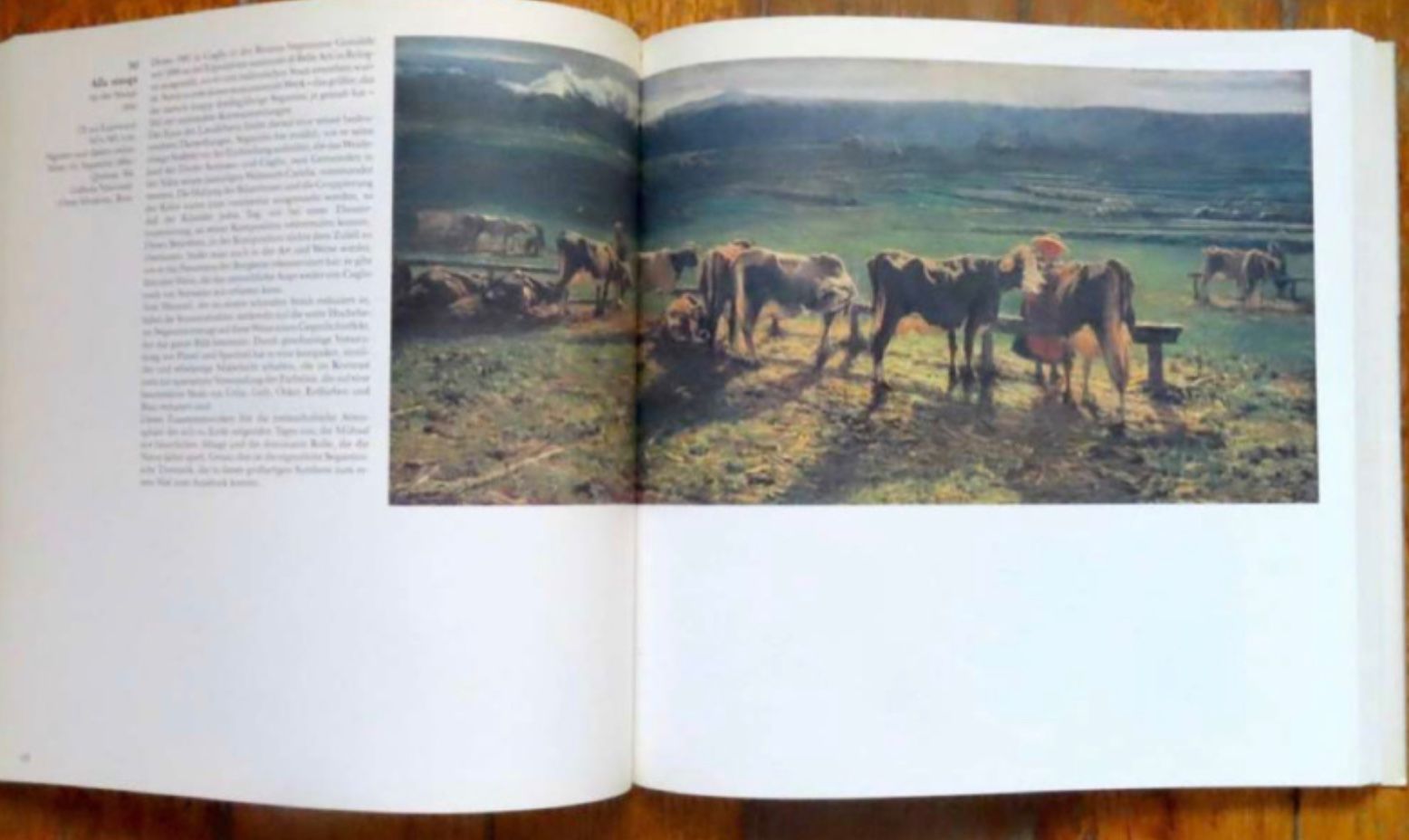 Libri: Giovanni Segantini 1858-1899 – Usato da Le Locle venduto da LibrairieLaBergerie 2