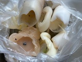 Kerzenwachs Reste, knapp 1,4 Kg
